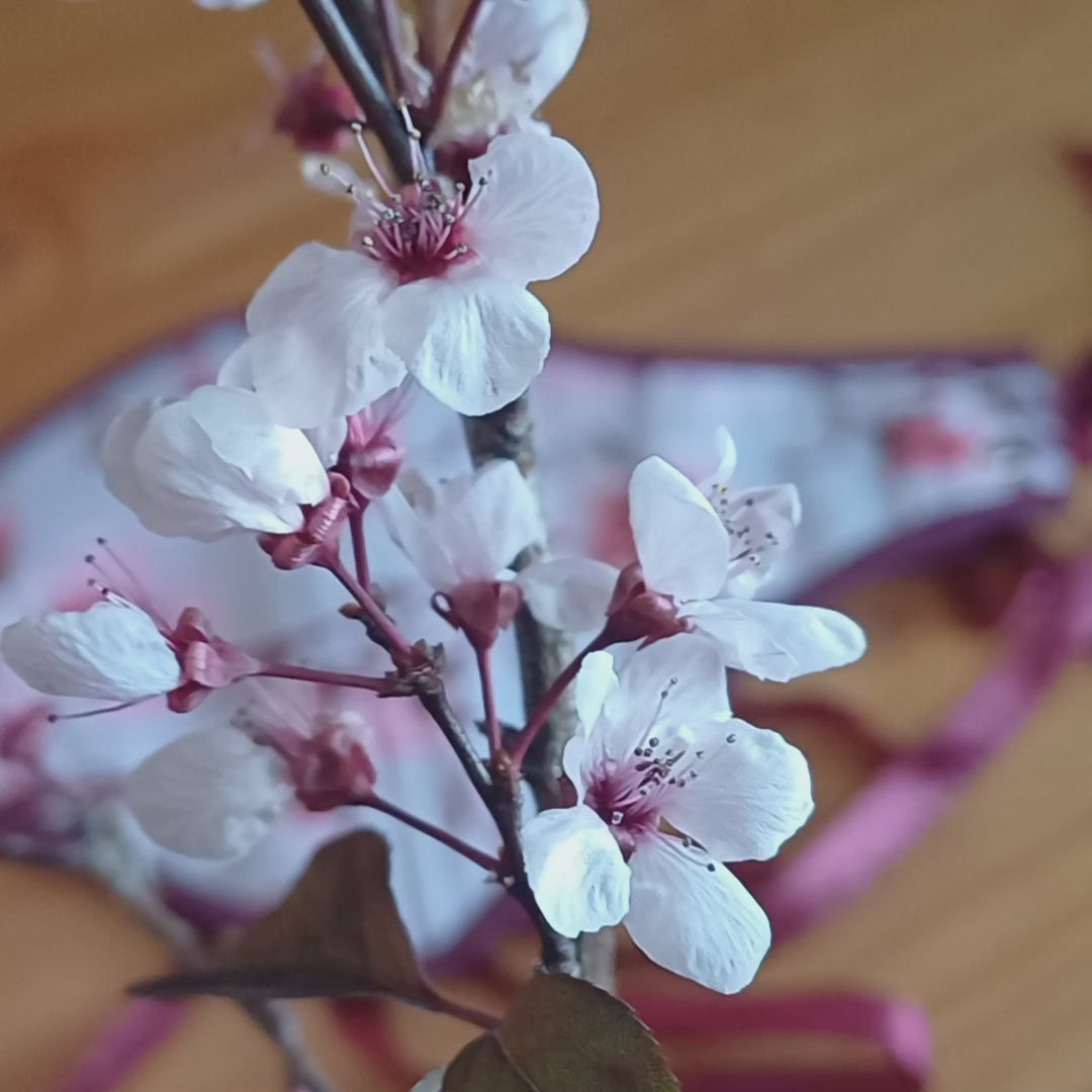 Plum Blossom Corset belt